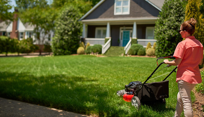 Lawn Mower Buying Guide